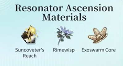 How to check Wuthering Waves 3.0 Lynae Build: Weapon, Materials, Echo Sets & Team Comps ID